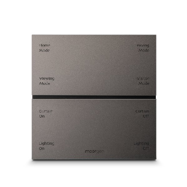 champagne silver Swiss panel
